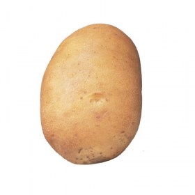 Kartoffel Agata